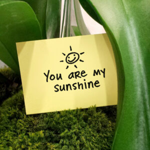 Original Love Notes Sample
